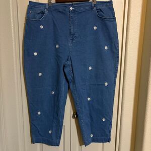 The Quacker Factory Jeans Women’s 28 (44x26) Blue Embroidered Flowers spandex